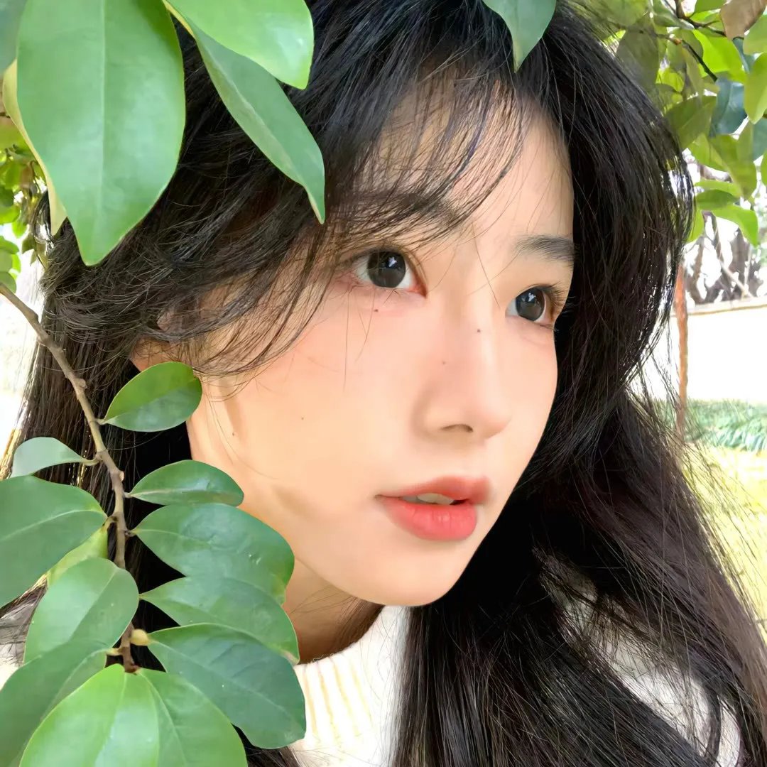 风尘知已